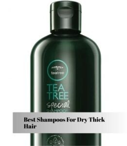 best shampoos for dry thick hair