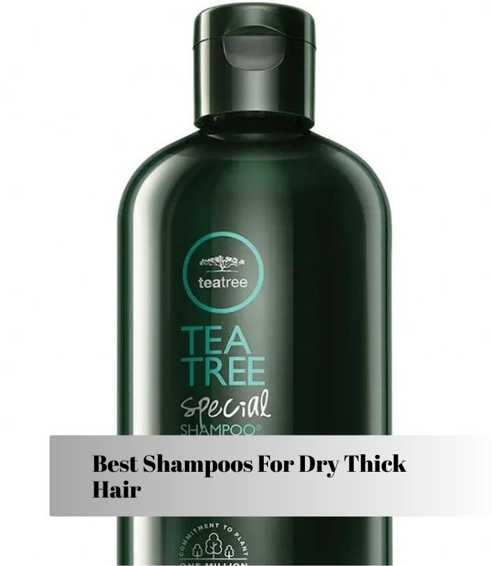 best shampoos for dry thick hair