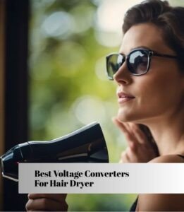 best voltage converters for hair dryer