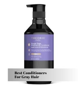 best conditioners for gray hair