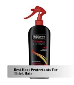 best heat protectants for thick hair