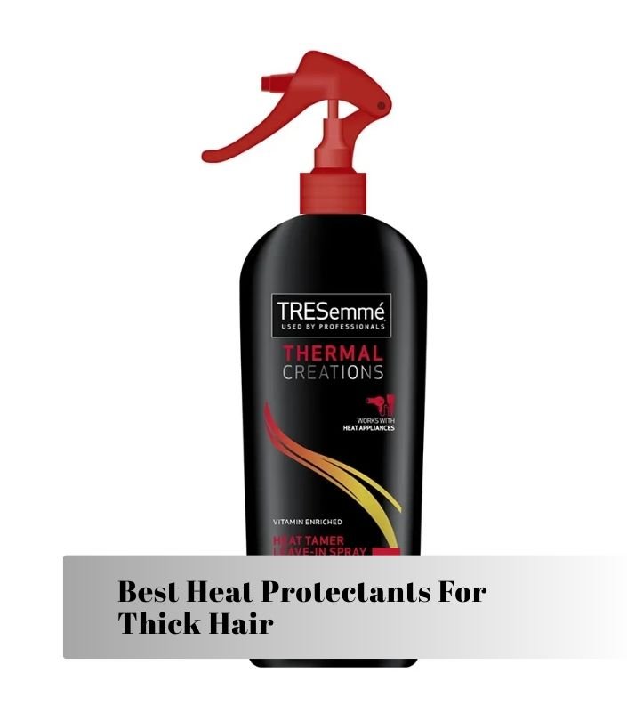 best heat protectants for thick hair