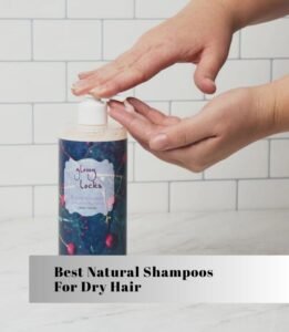 best natural shampoos for dry hair