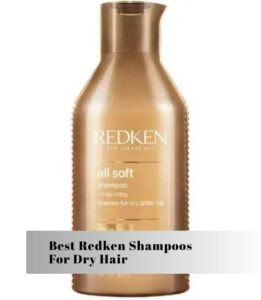 best redken shampoos for dry hair