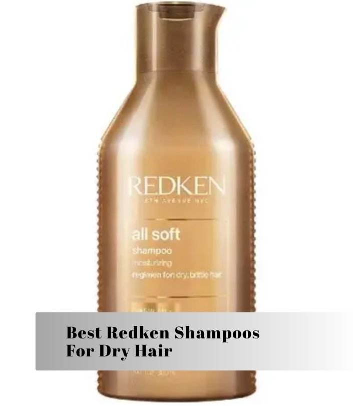 best redken shampoos for dry hair