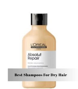 best shampoos for dry hair