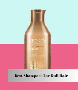 best shampoos for dull hair