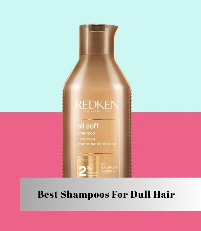 best shampoos for dull hair