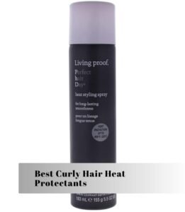 best curly hair heat protectants