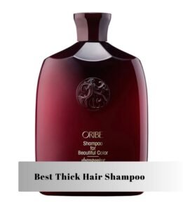best thick hair shampoo