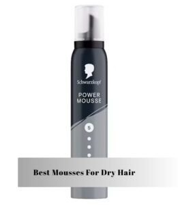 best mousses for dry hair